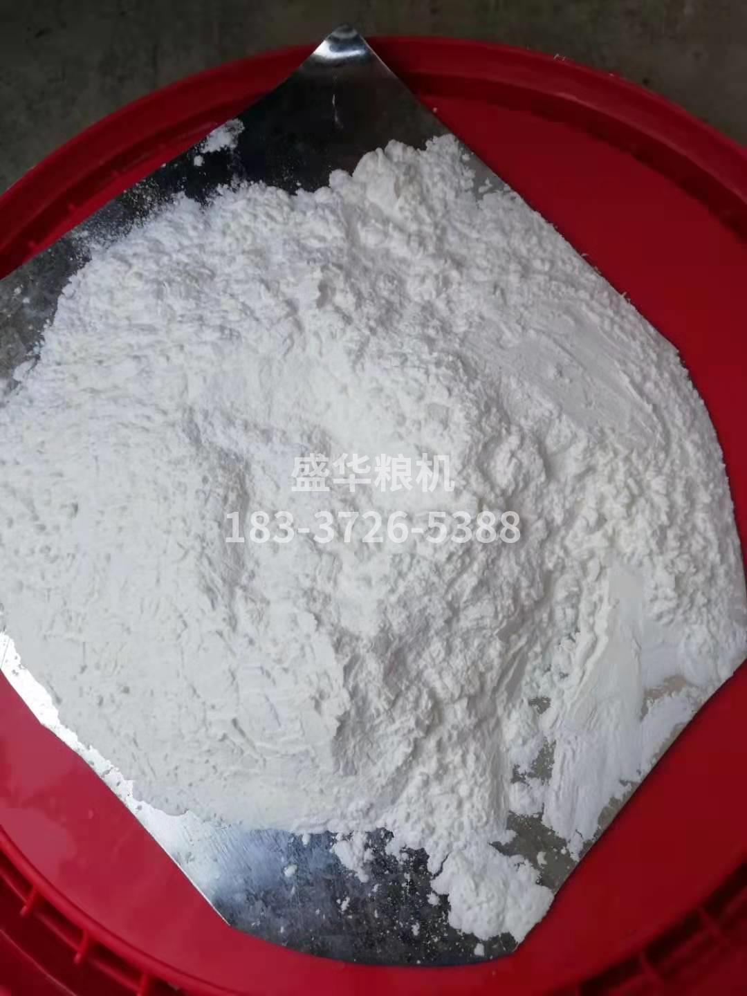 玉米面，玉米顆粒樣品